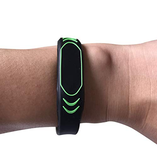 ميكروشيب بولسباند